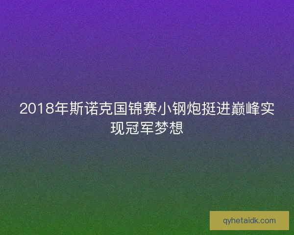 2018年斯诺克国锦赛小钢炮挺进巅峰实现冠军梦想