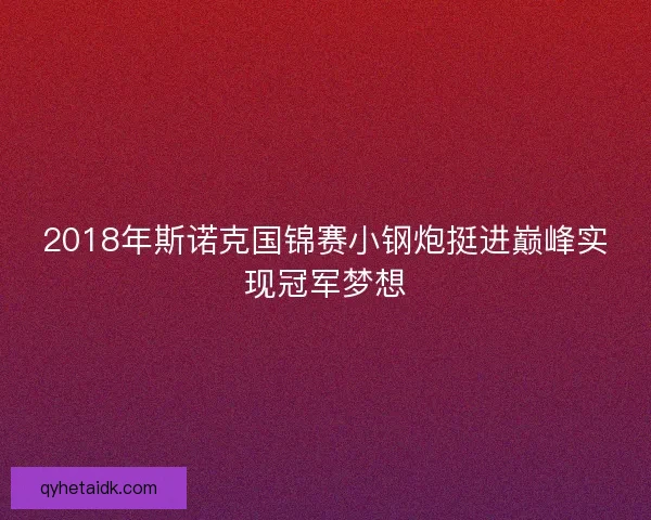 2018年斯诺克国锦赛小钢炮挺进巅峰实现冠军梦想